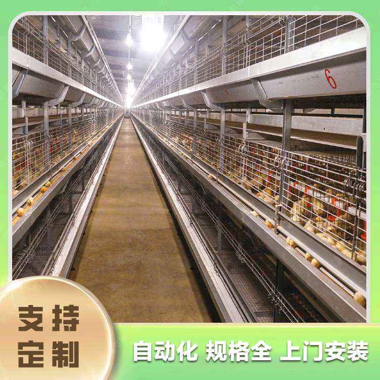 Pure water equipment for the breeding farm, Xingning chicken breeding equipment, self ingredient equipment for chicken breeding, Xingning chicken farm equipment, laying chicken, broiler chicken breeding equipment, chicken net equipment