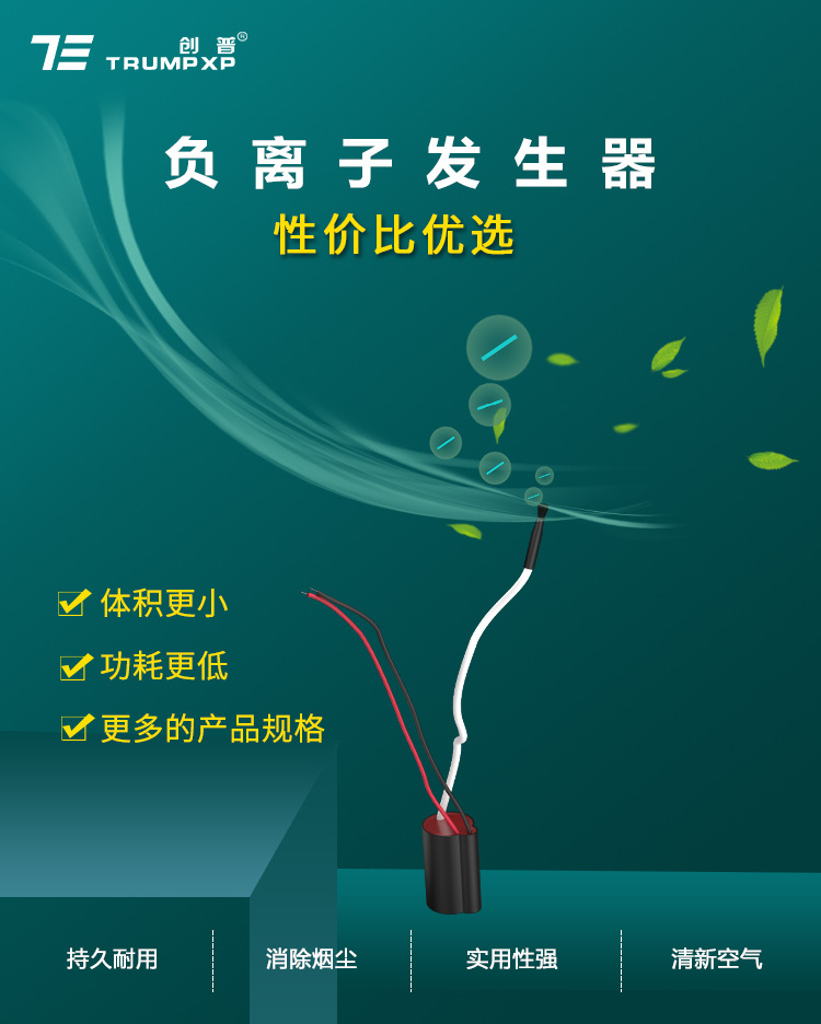 Chuangpu Yuanyuan Factory Home Appliance Hair Dryer, Straight Hair curler A200V Input Voltage, Subminiature Negative Ion Generator