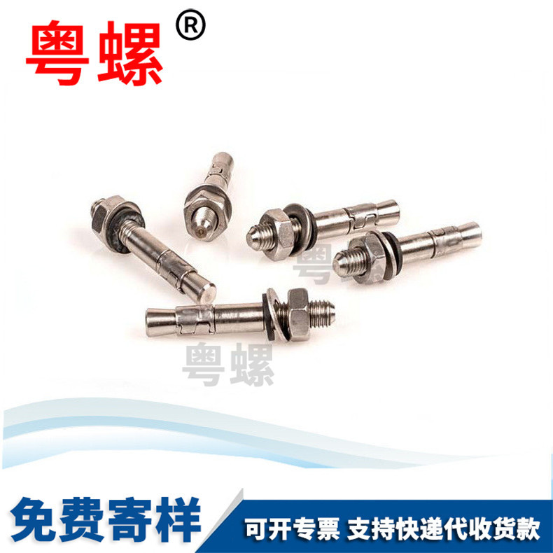 Guangdong Screw Wholesale High Strength Screw Stainless Steel Screw Wall plug