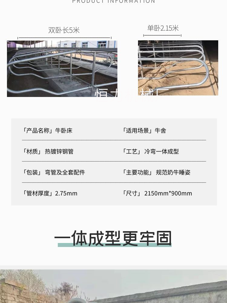 Thickened Cow Beds for Dairy Farms Hengli Brand Animal Husbandry Equipment Size of Cow Beds Made of Hot-dip Galvanized Material Cow Beds