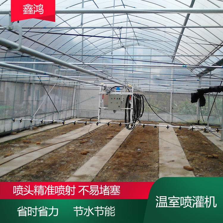 Self propelled round-trip greenhouse seedling watering machine with movable sprinkler head for precise spraying