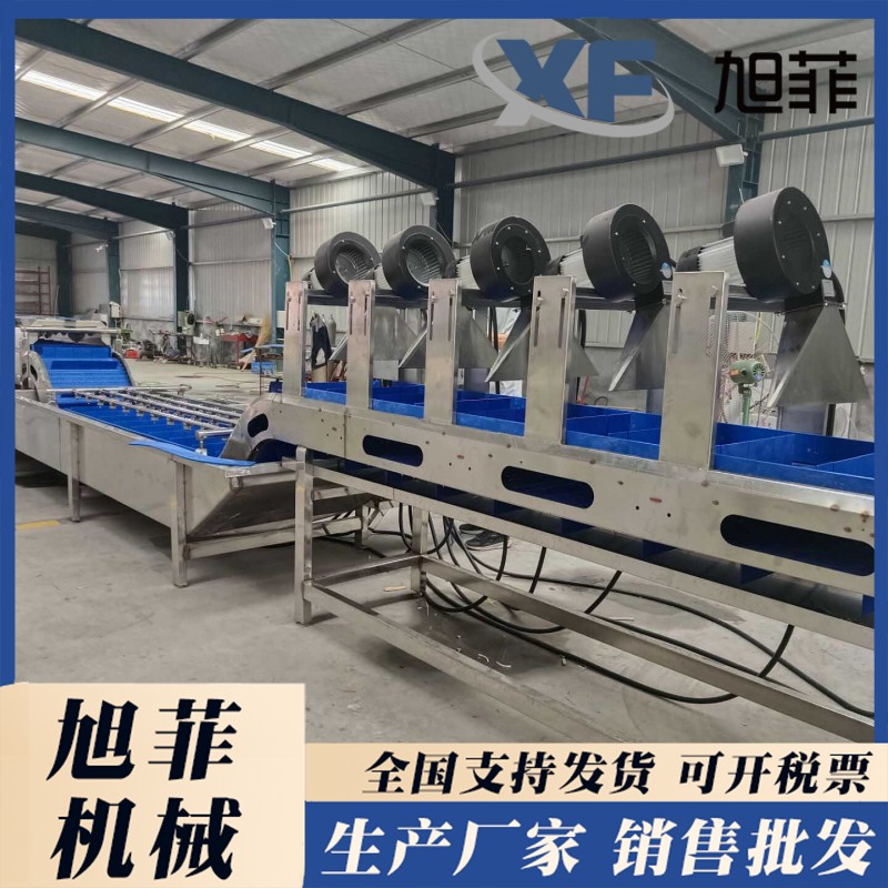 Whole vegetable cleaning and air drying assembly line Fruit and vegetable processing and cleaning equipment Food factory processing machinery Xufei