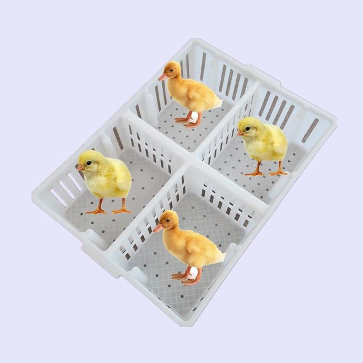 Plastic breathable chicken seedling basket, duck seedling basket, hatching farm, chicken seedling transportation basket, four grid chicken cubby basket manufacturer