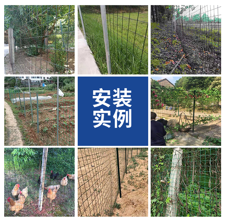 Dutch net chicken farming, net enclosure, ground net breeding fence, orchard isolation fence, wire mesh, one package for shipping