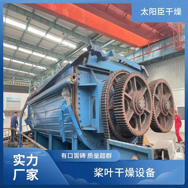 太阳臣旋转式桨叶干燥机 紧凑结构均匀干燥 95%水分蒸发量设备
