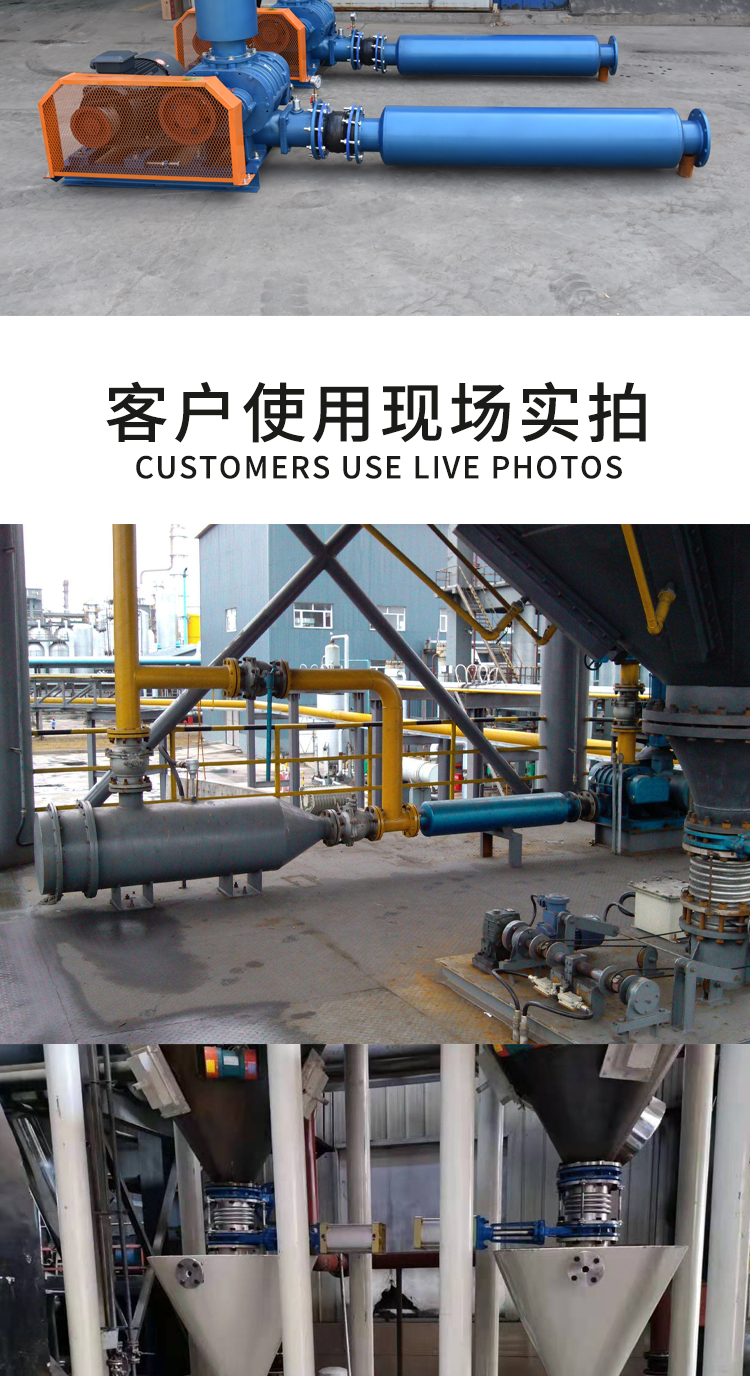 Roots blower DN-80 lint spraying cloth blower equipment for high-pressure sewage treatment Roots blower