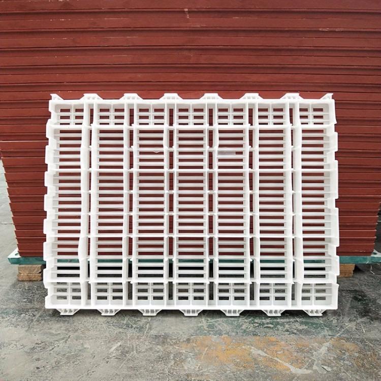 Breeding equipment: Sheep manure leakage board, plastic elevated bed, Jiahang pig manure cleaning board, 60 * 60 specification, double rib thickened