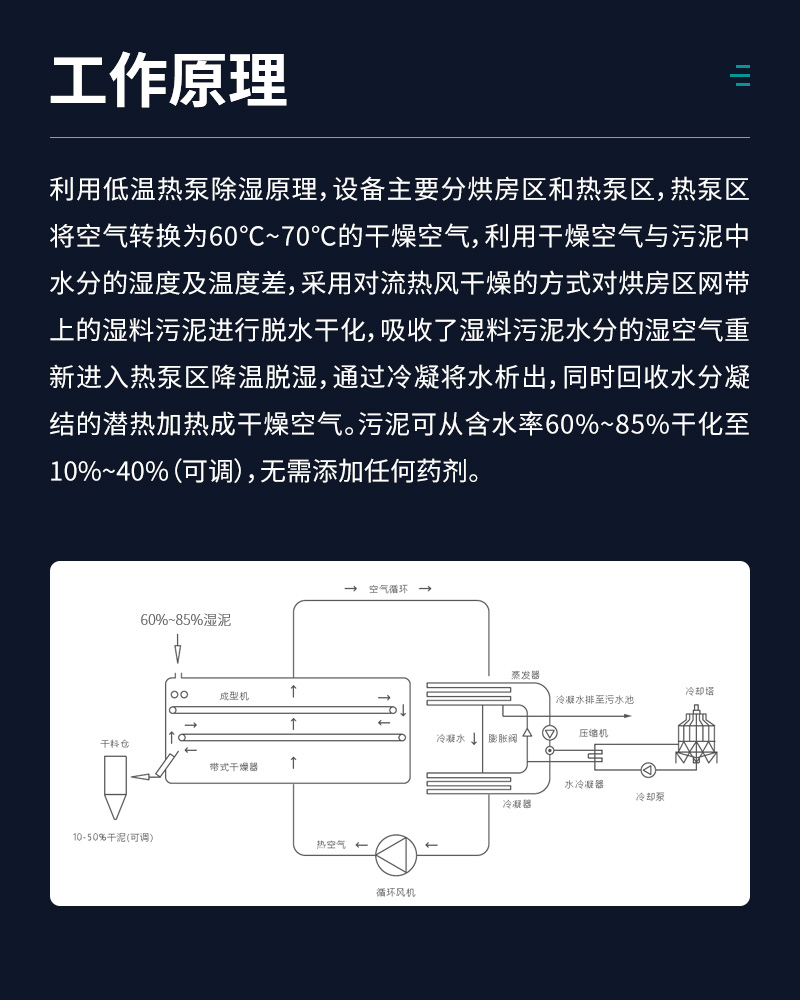 Low temperature belt dryer for deep water ecological municipal sludge deep dehydration reduces by over 80%