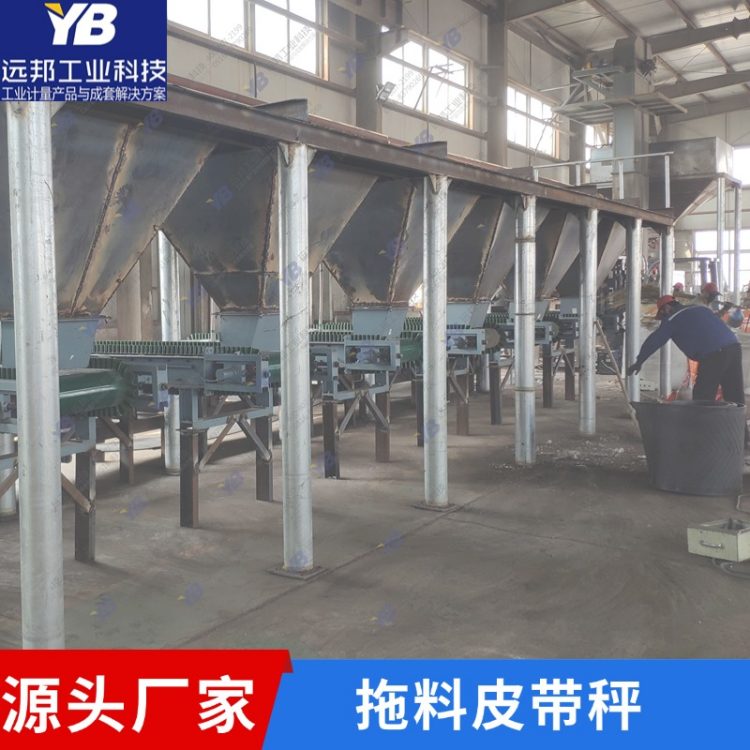 拖料皮带秤 钢厂定量给料机 DEM称重配料秤 YB-JGC远邦工业