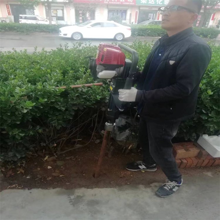 抗洪抢险植桩机 雷力LLQ372汽油冲击式套筒规格全动力强打钢桩木桩