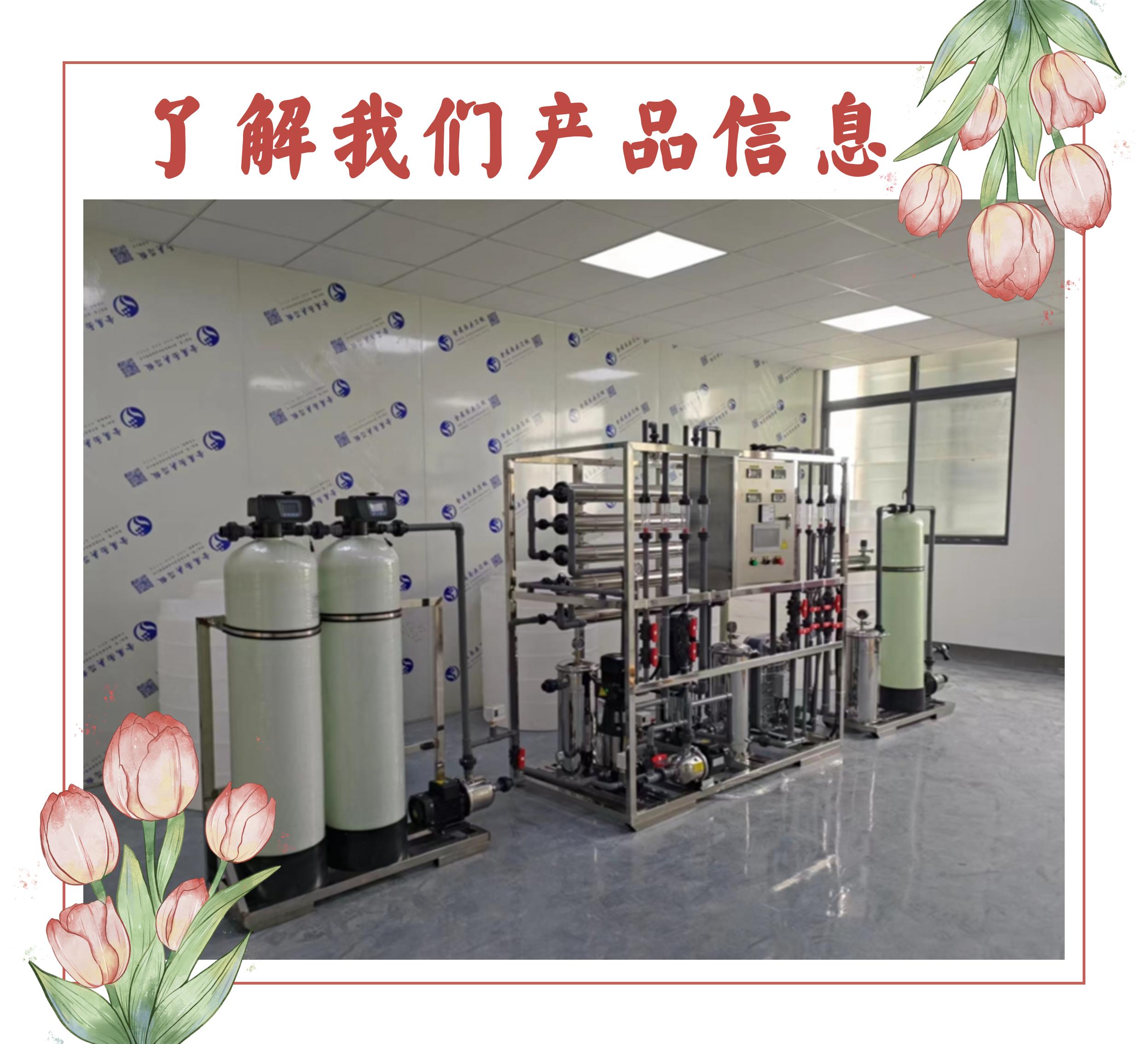 0.5 ton electronic Ultrapure water equipment EDI module Ultrapure water machine manufacturer customized nationwide delivery