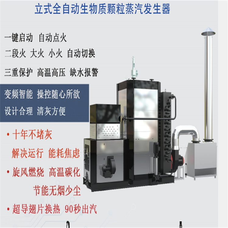 Biomass 0.5T steam generator Longsheng customized boiler cement curing and drying equipment full-automatic Steam engine