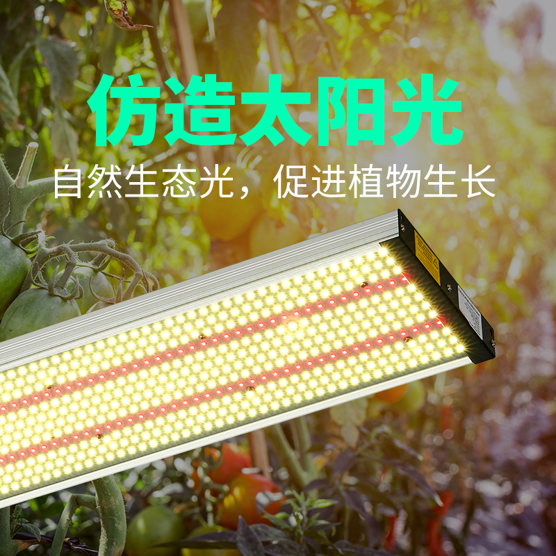 Quantum board Grow light high-power full spectrum greenhouse flower Pitaya fill light