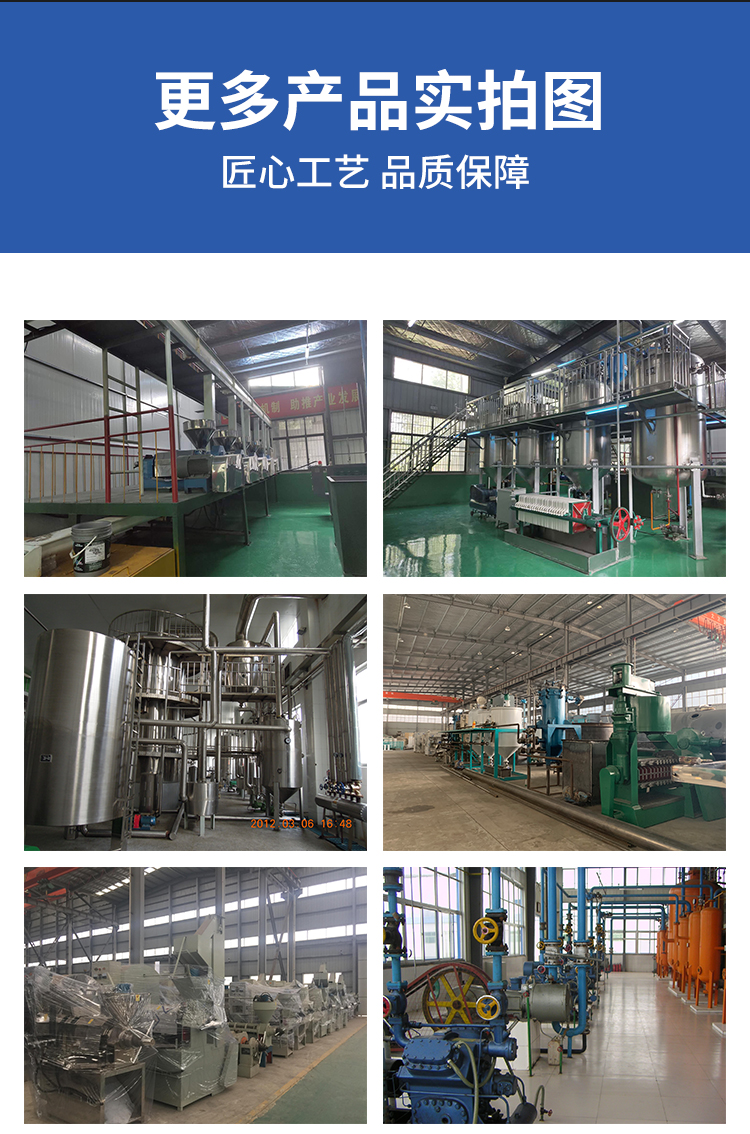 Small oil press complete equipment, multifunctional oil press equipment, easy to operate