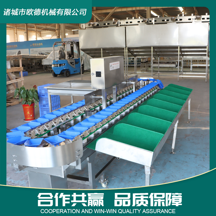 Material box sorting machine Sea cucumber crayfish automatic weighing and grading machine Fruit size sorting and fruit selection equipment