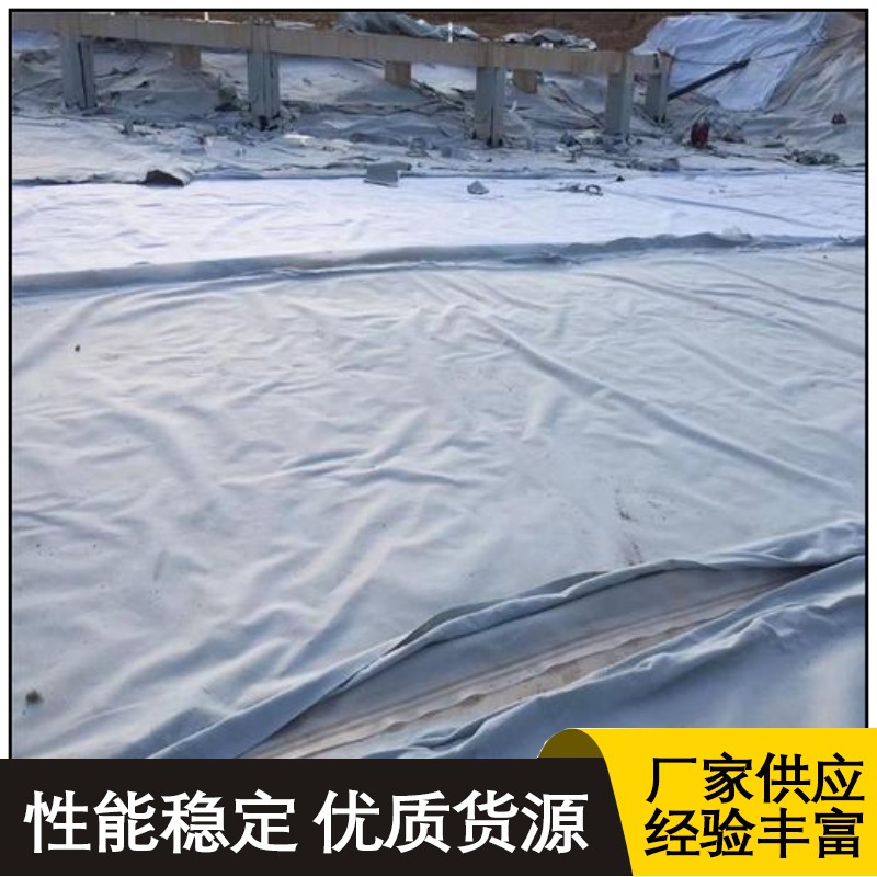 Composite Geomembrane Biogas Tank Garbage Landfill Site Road Tunnel One Cloth One Membrane River Slope Protection and Seepage Prevention Membrane