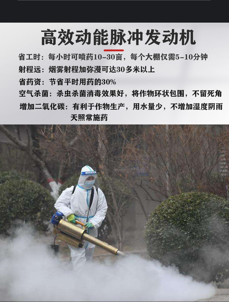 Gasoline spray mist sprayer fog mist water spray pesticide fruit tree greenhouse pulse insecticide spraying