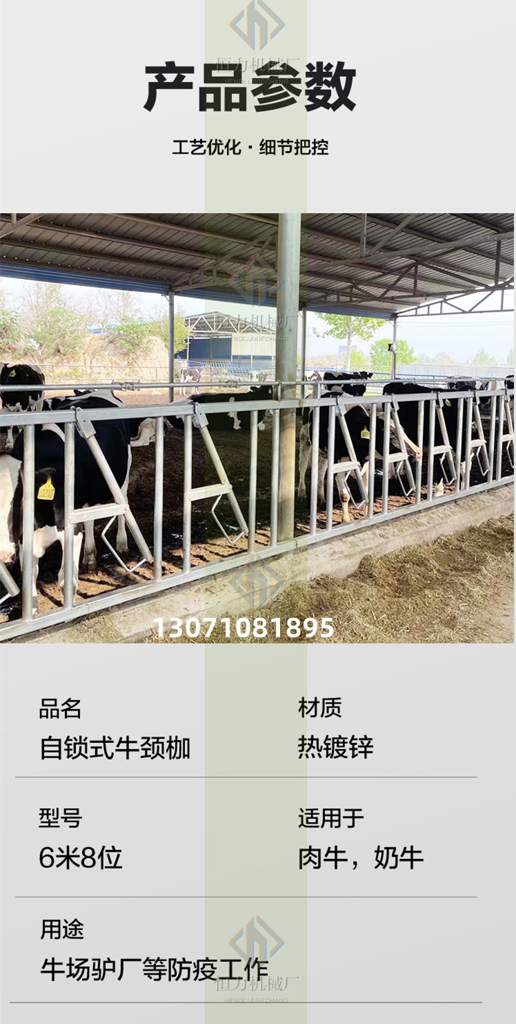 Hengli Brand Self locking Cow Neck Flail, 6 meters, 8 positions Cow Neck Clamp, Hot Dip Galvanized Pipe, Durable and Durable