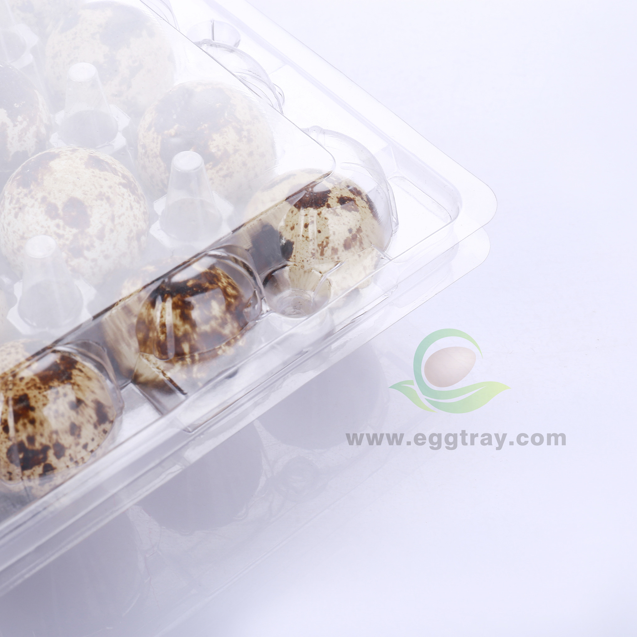 One time plastic Quail eggs tray 24 transparent shockproof thickened packaging boxes Quail eggs trays factory direct wholesale