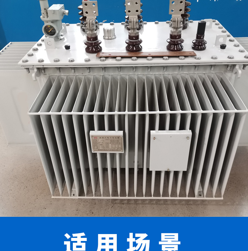 S20-M oil-immersed power transformer industrial all copper three-phase fully enclosed oil transformer