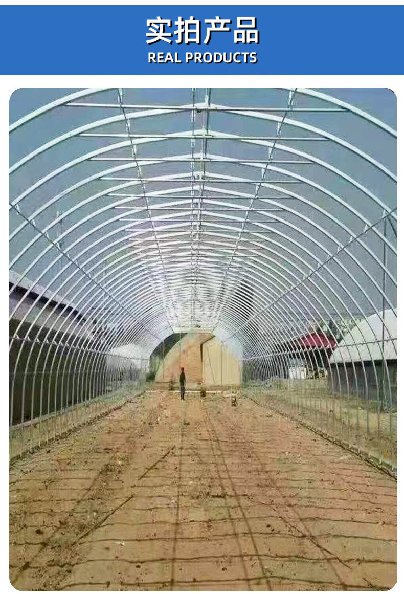 Taiyou Yi Film Greenhouse Greenhouse GR-004 Plastic Greenhouse Multi span Intelligent Greenhouse Design with Double Arch and Double Film