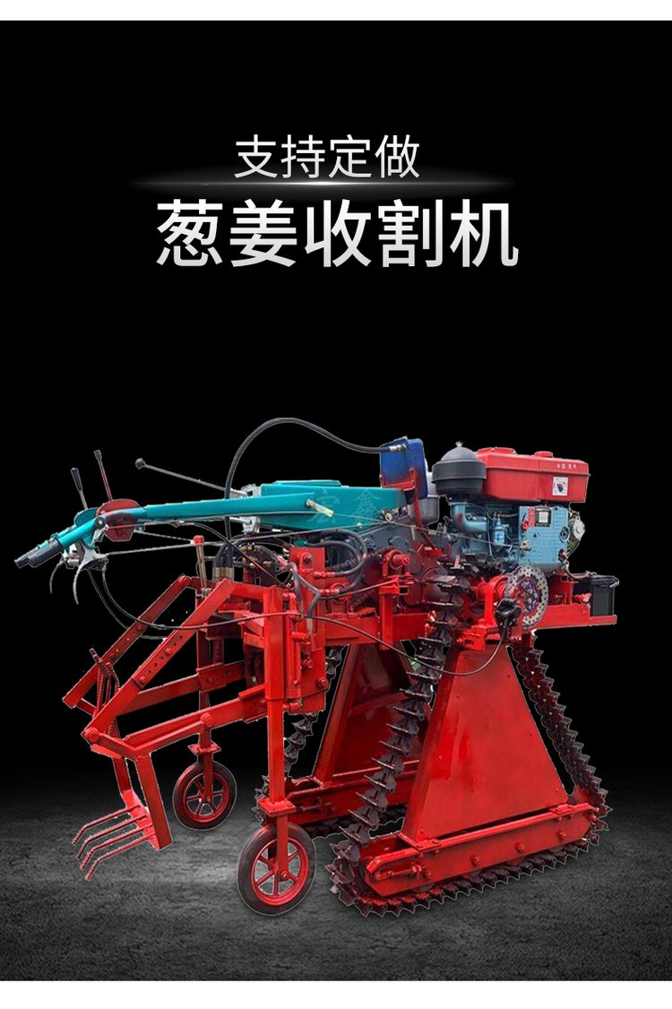 Picture of a scallion digging machine with high work efficiency. Scallion harvester, diesel tracked scallion ginger excavator