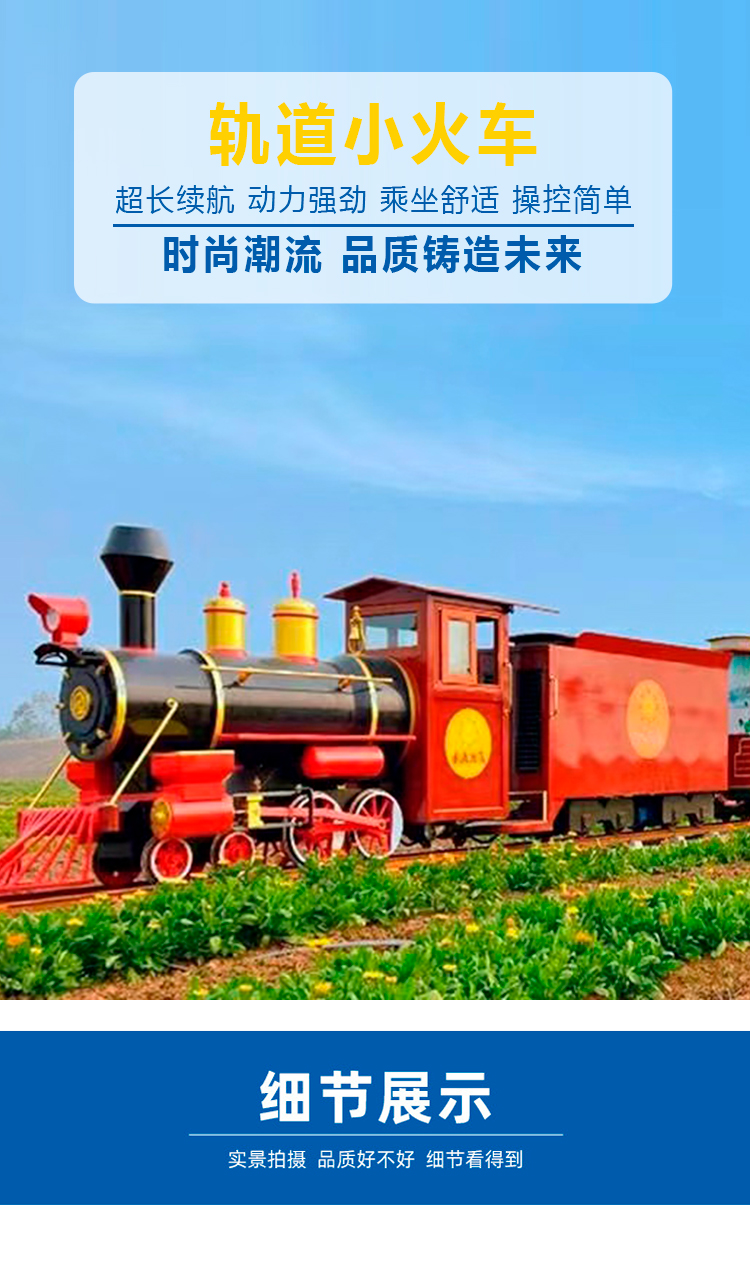 Outdoor internet celebrity train scenic spot, farm flower sea countryside, manned antique track sightseeing, small train amusement equipment