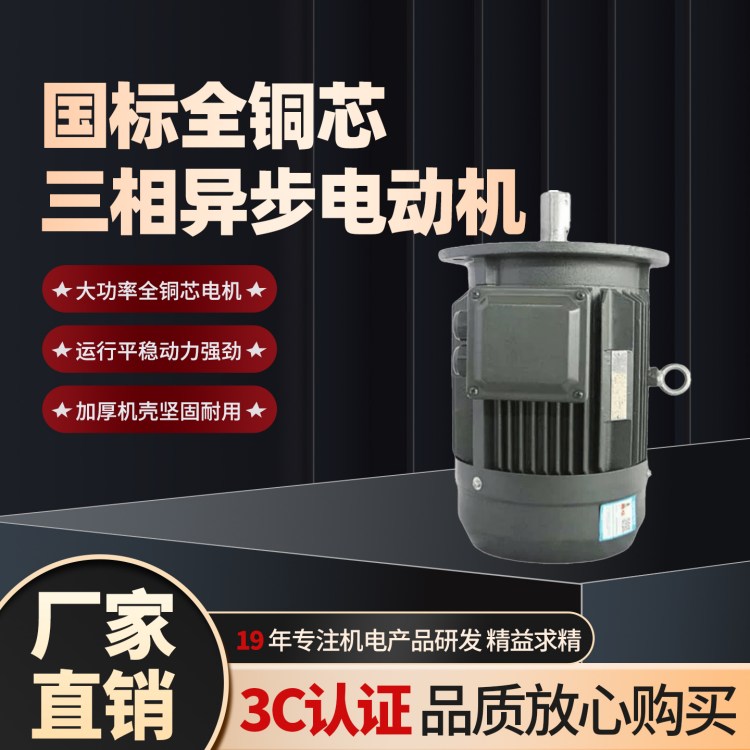 YE3-315S-2铝壳电机三相直流电机 立式异步电动机110KW
