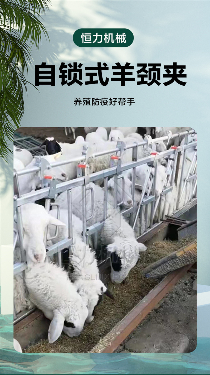 Sheep raising equipment for fattening sheep, manufacturer of sheep neck clamp fence, manufacturer of thickened sheep neck yoke accessories