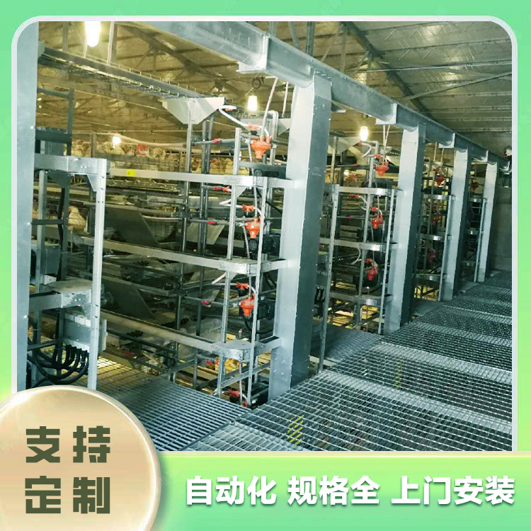 Advanced Chicken Raising Equipment Qingyuan Chicken Raising Equipment Shaanxi Laying Hen Breeding Co., Ltd. Qingyuan Chicken Farm Equipment Laying Hen Meat Chicken Breeding Equipment Environmental Monitoring System of the Farm