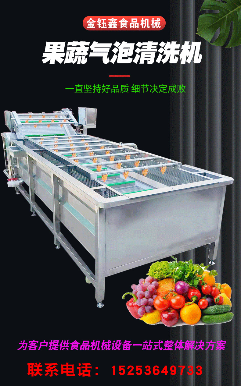 Manufacturer of customized coriander bubble cleaning machine and fennel cleaning assembly line