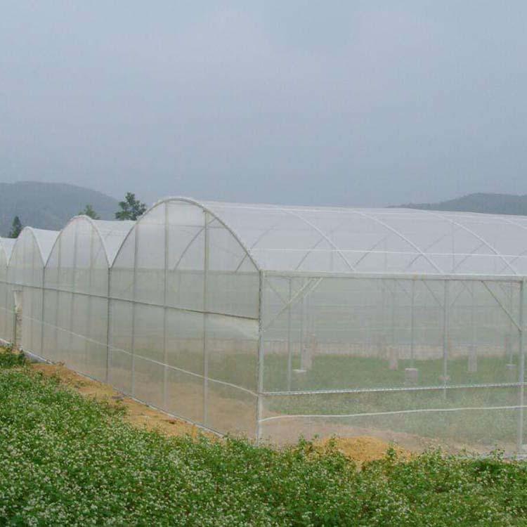 Fruit tree greenhouse insect prevention net cross-border plant greenhouse vegetable nylon net bag grasshopper frog breeding net cover polyethylene