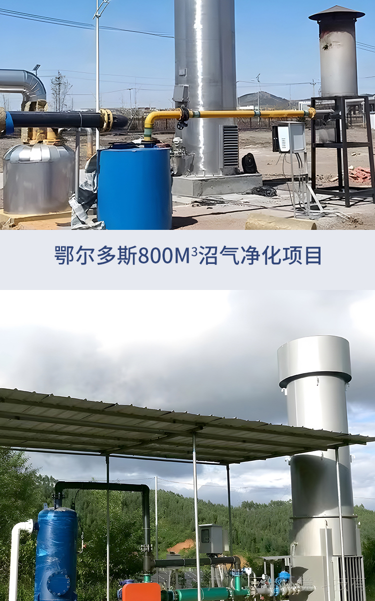 Landfill biogas torch Hongshuo breeding farm internal combustion biogas discharge equipment Garbage landfill biogas combustion torch