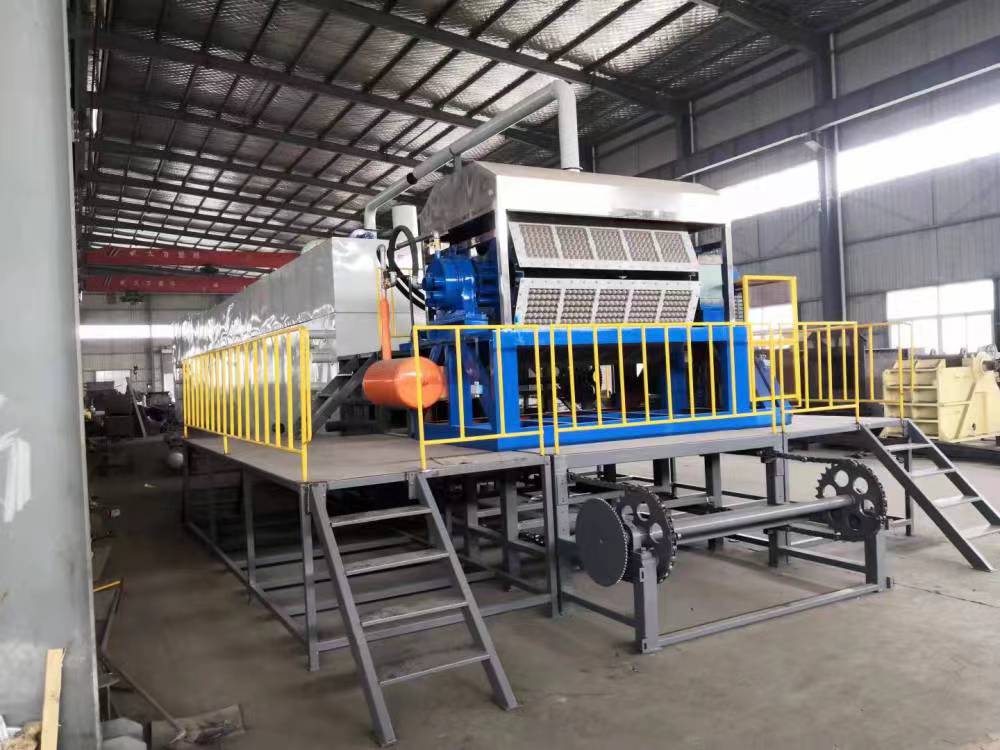 Pulp molded egg tray machine produces 1000 naturally dried small egg trays production line