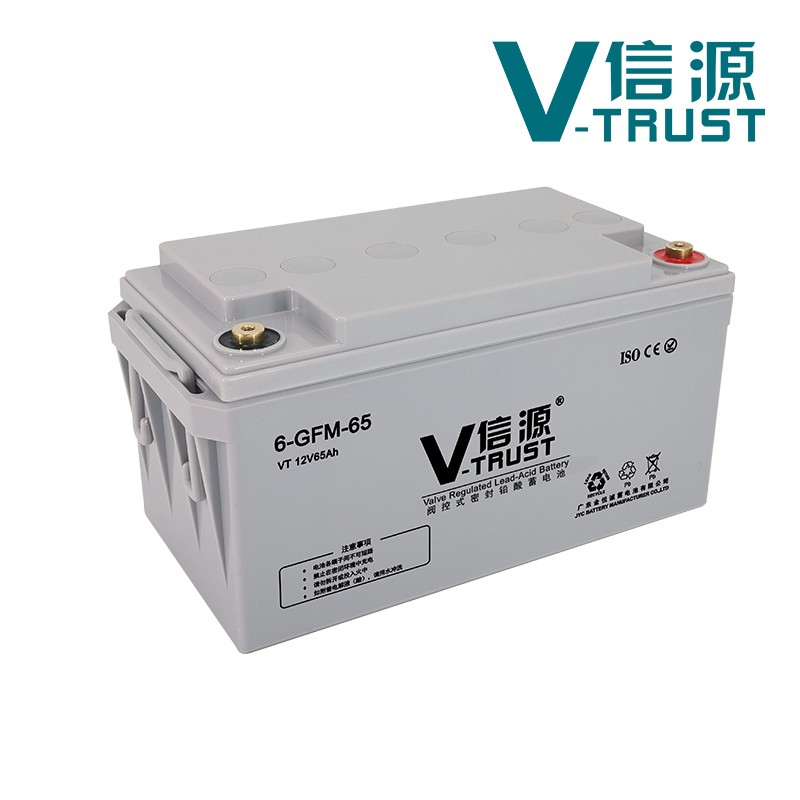 信源蓄电池VT65-12 阀控式密封铅酸电池12V65AH机房UPS/EPS电源