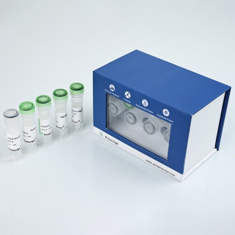 Probe One-Step qRT-PCR Kit MB03015 科研试剂 操作简便，减少污染风险