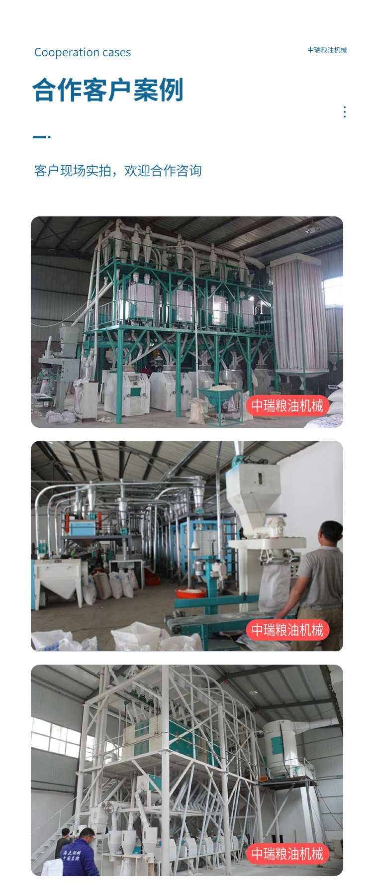 In the complete set of 500 ton flour processing equipment, Rui Grain Oil Wheat Flour Machine has low noise and no dust