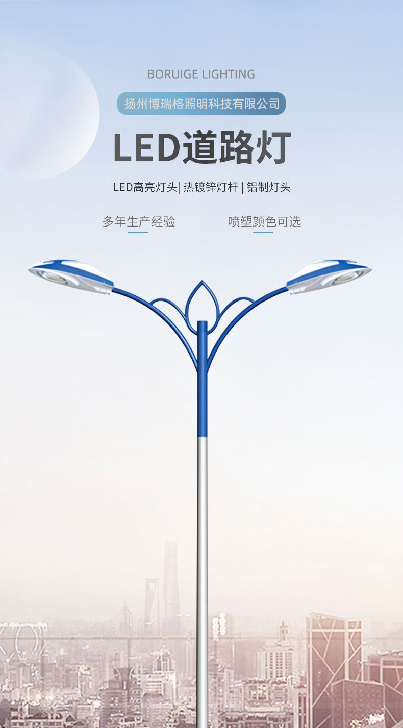 LED double arm street lamp, 8m, 9m, 10m, 12m, road, electricity, outdoor lighting, high and low arm double head road lamp pole