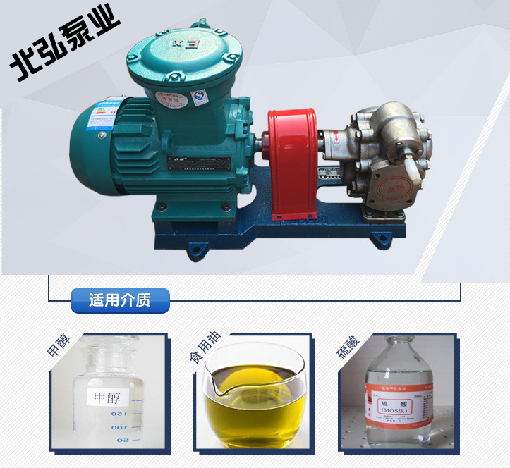 Supply LQB200 stainless steel asphalt insulation pump, gear oil pump, high-temperature resistant jacket pump, food delivery pump