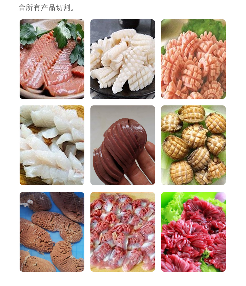 Abalone, squid, cuttlefish meat product processing equipment, bean products, grilled gluten, tofu, one machine shaping and flower cutting machine