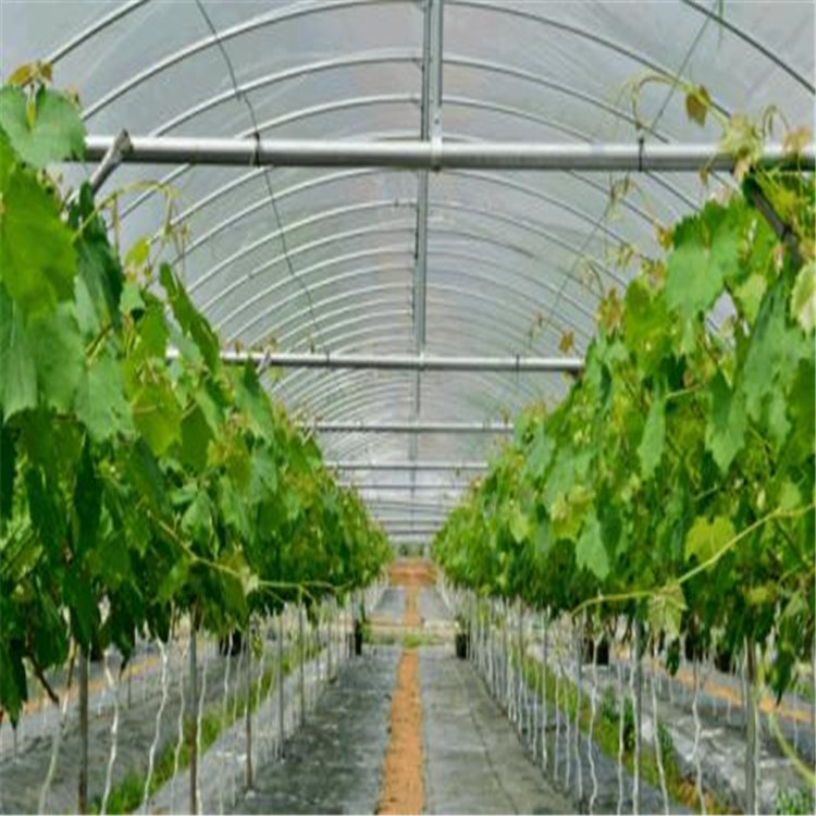 湖北黄冈麻城连栋大棚配件名称蔬菜大棚管橘子连体大棚市场报价