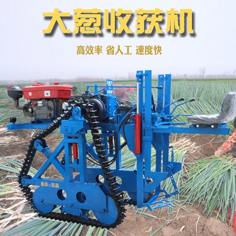 Picture of a scallion digging machine with high work efficiency. Scallion harvester, diesel tracked scallion ginger excavator