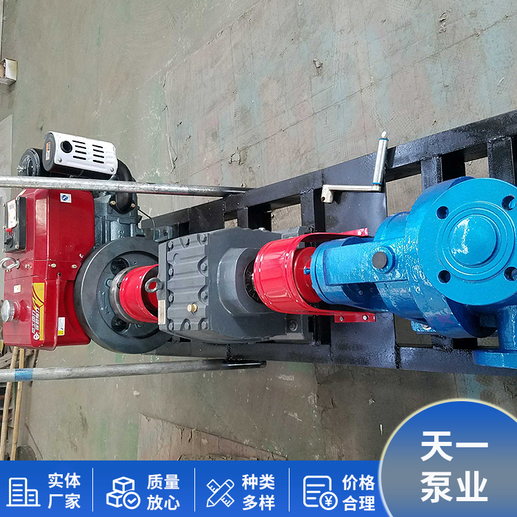 NYP52 high viscosity gear pump, stainless steel internal mesh pump, specifications and dimensions can be customized and supplied to Tianyi Pump Industry