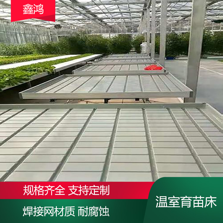 The movable seedling bed frame in the greenhouse can be customized and processed with an area of 50 to 100 square meters