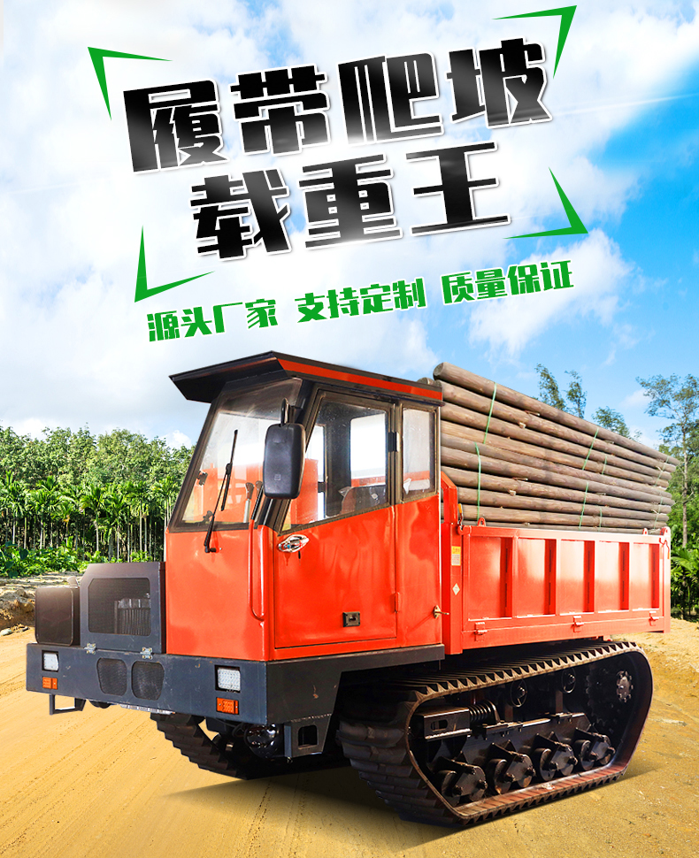 Jiapeng Customized Agricultural All Terrain Crawler Vehicle 1.5-ton Mountain Crawler Transport Vehicle Diesel Horizontal Bar Engine