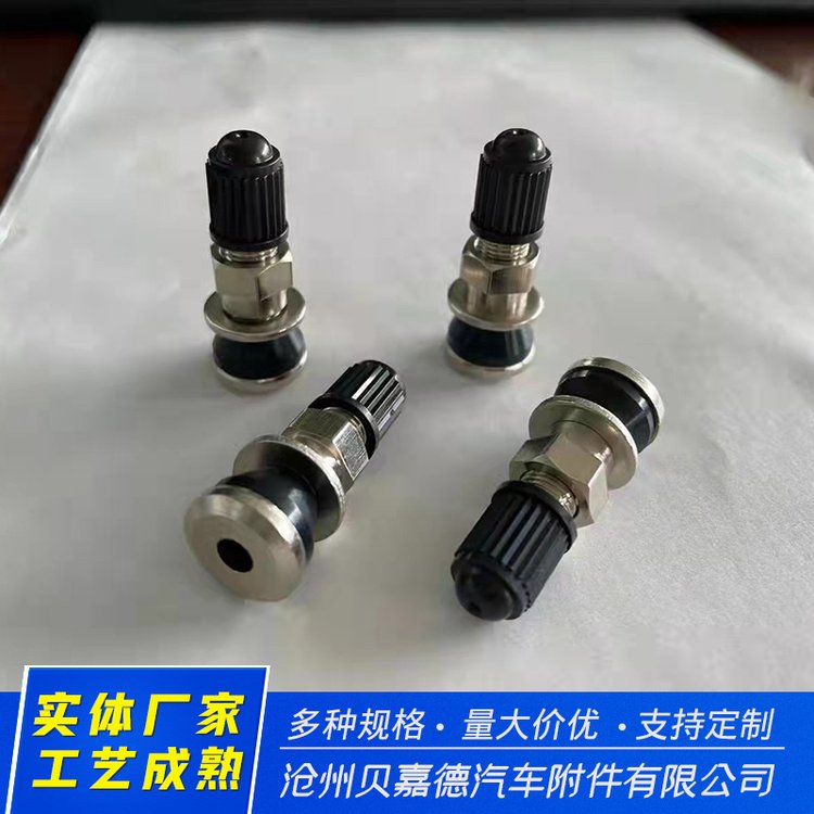 Motorcycle Valve stem, battery car, vacuum rubber tire manufacturer delivers timely