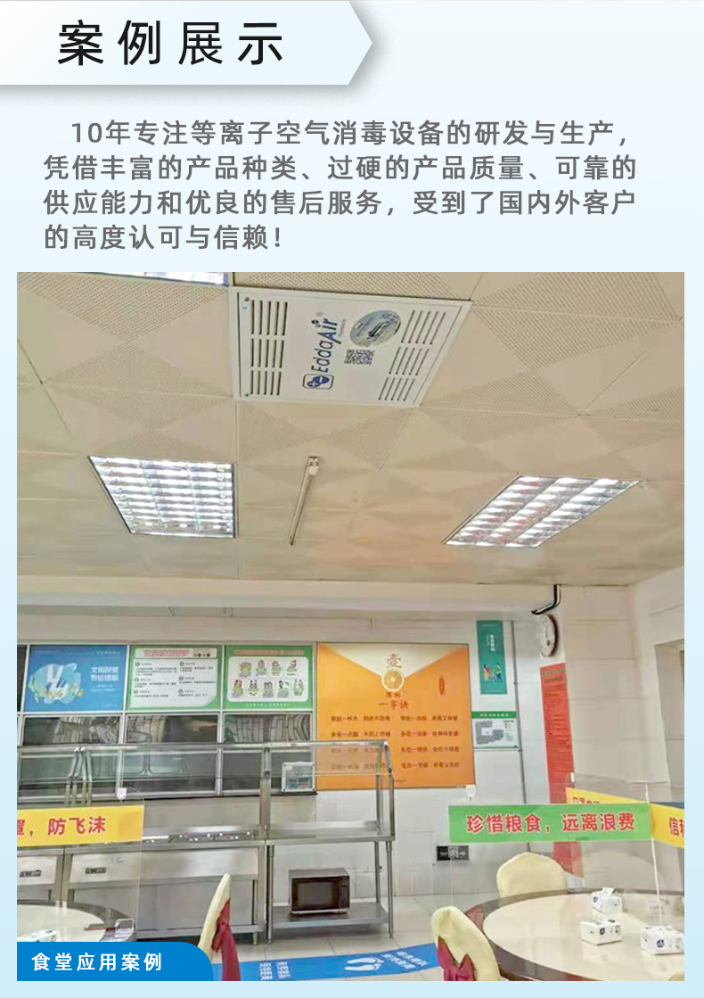 Ceiling mounted embedded plasma purifier Food factory School sterilization equipment Deodorization and odor removal disinfection machine