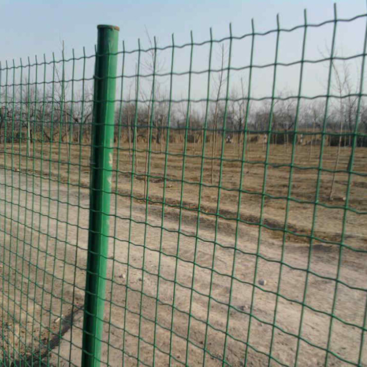 Dutch mesh, wire mesh, breeding fence, enclosure for chicken farming, protective isolation net, steel wire welding, external immersion plastic spring rain