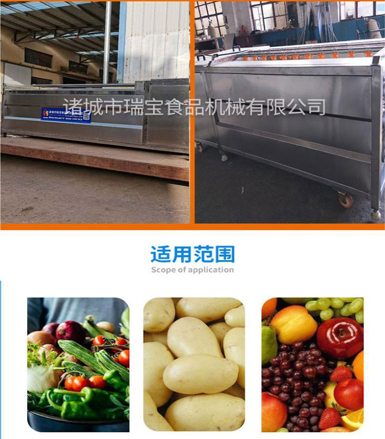 Ruibao Big Ginger Hair Roller Peeling and Cleaning Machine Winter Melon Cleaning Machine Taro Hair Brush Processing Equipment