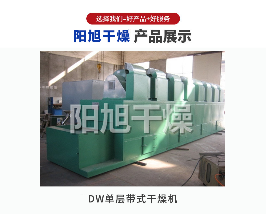 DW single-layer mesh belt dryer used for Yangxu drying in chemical, food, and pharmaceutical tunnel drying equipment